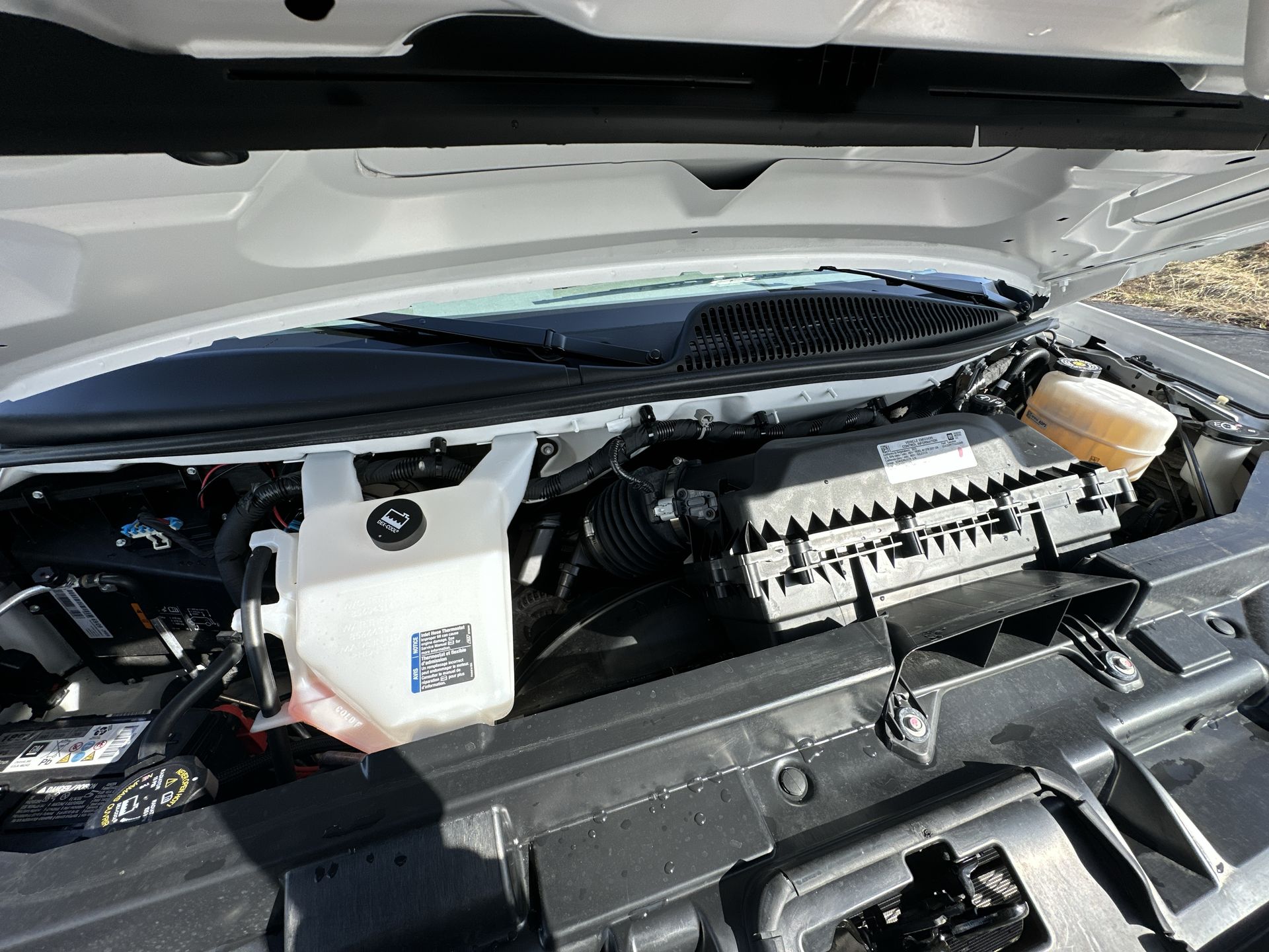 2025 Chevrolet Express Passenger 1LT