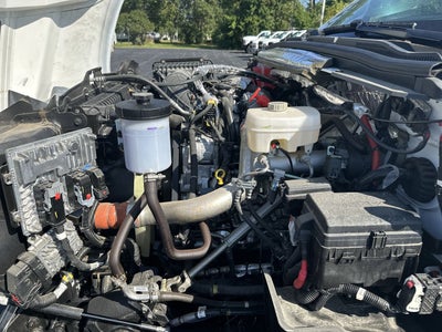 2023 Chevrolet Silverado 4500 HD Work Truck